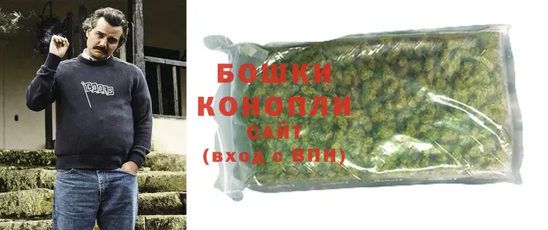 закладка  Аша  мориарти клад  Шишки марихуана THC 21% 